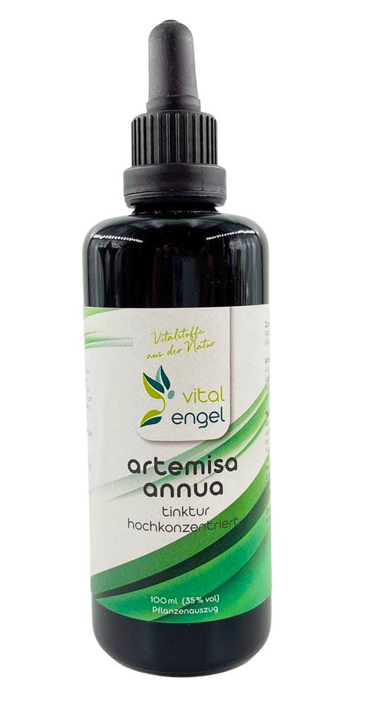 Artemisia Annua Pflanzenauszug/Tinktur (100 ml / 35%vol.) - Vital Engel